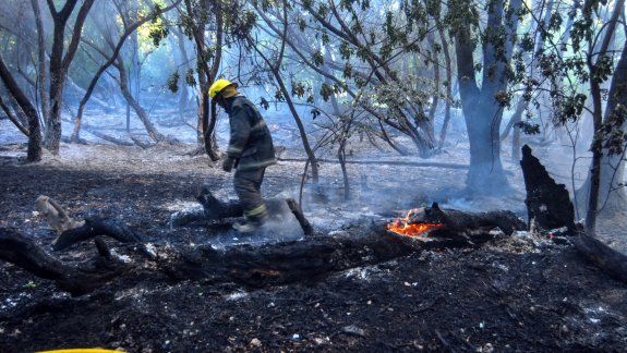 Contuvieron el incendio en el Paseo e investigan si fue intencional