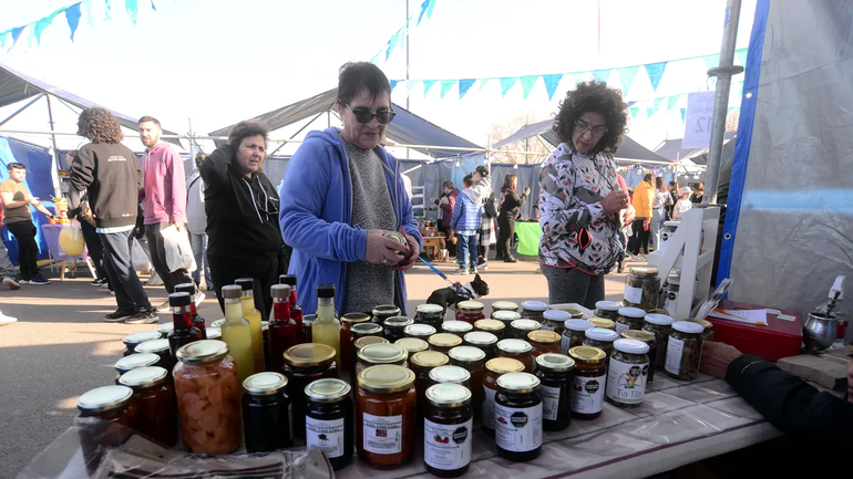 En 13 fotos, la feria de emprendedores de Neuquén