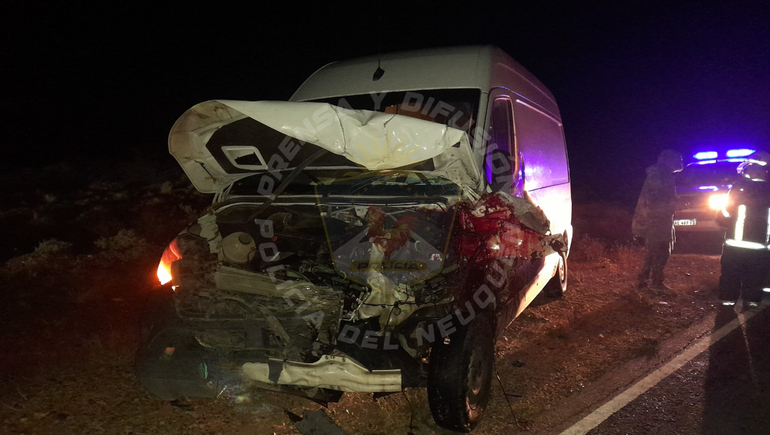 Impactante choque en Ruta 17: murió un caballo y se destruyó la trompa de la camioneta