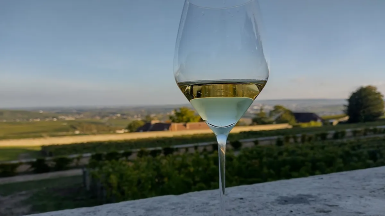 Cómo zafar esta Navidad con un buen vino