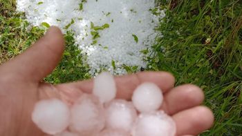 la cosecha de cereza se podria recudir un 50% luego de la tormenta de granizo la cosecha de cereza se podria recudir un 50% luego de la tormenta de granizo