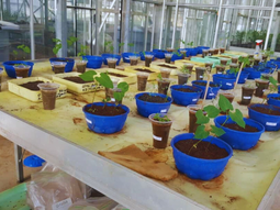 El uso de microorganismos se ha consolidado. Foto: INTA El uso de microorganismos se ha consolidado. Foto: INTA