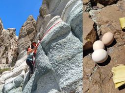 sabor en la cumbre: una travesia entre la montana y las humitas en el alto neuquen sabor en la cumbre: una travesia entre la montana y las humitas en el alto neuquen
