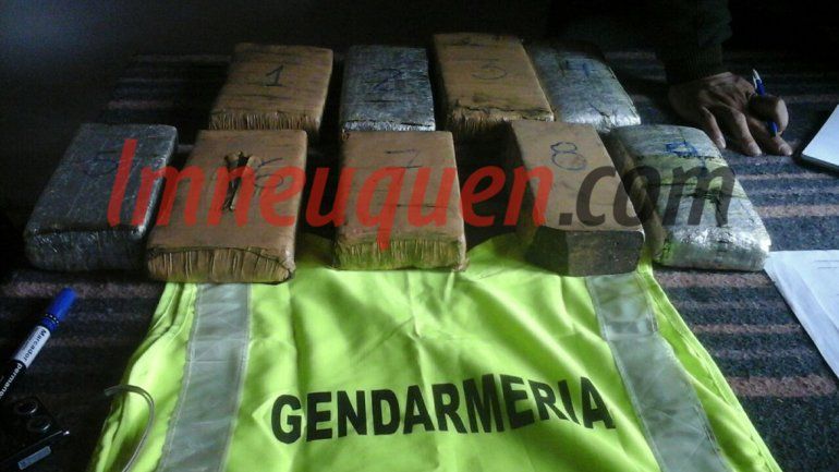 Secuestraron más de 9 kilos de marihuana en un sendero cerca del paso fronterizo Mamuil Malal