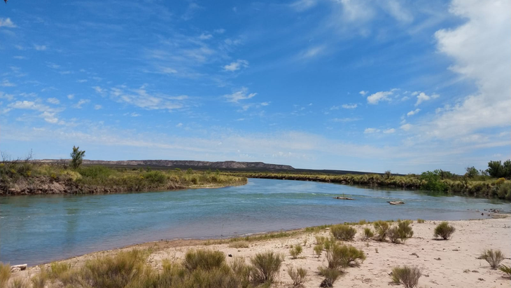Alerta temprana: Capacitan a productores en la detección de síntomas para prevenir brotes y asegurar la sanidad animal. Alerta temprana: Capacitan a productores en la detección de síntomas para prevenir brotes y asegurar la sanidad animal.