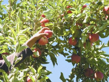 Llega ayuda para los productores. 