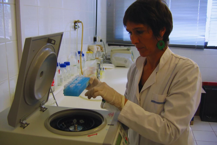 De 833 kg en 2018 a 1935 kg en 2023: el boom exportador de Tango conquista 14 países, incluyendo Francia e Italia. Foto: INTA De 833 kg en 2018 a 1935 kg en 2023: el boom exportador de Tango conquista 14 países, incluyendo Francia e Italia. Foto: INTA