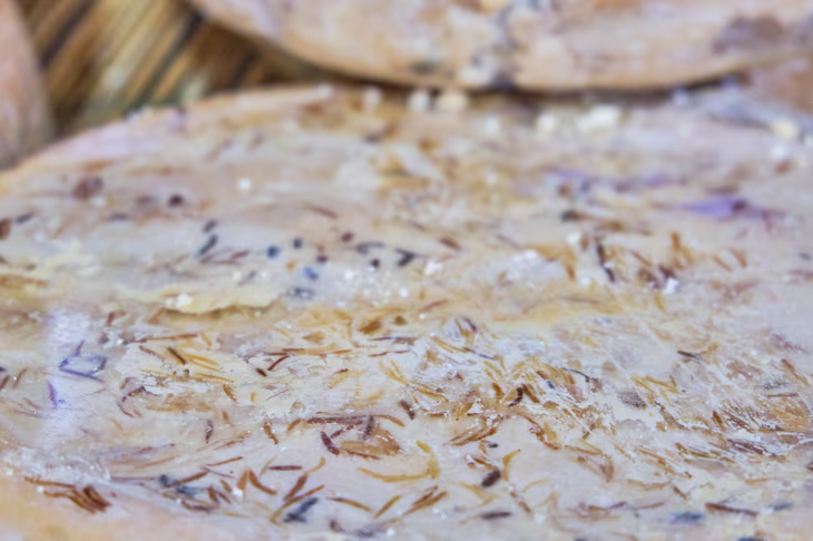 Lo que se intuye y da esa cremosidad al queso casu marzu son las larvas de la 'Piophila Casei', la mosca del queso. Lo que se intuye y da esa cremosidad al queso casu marzu son las larvas de la 'Piophila Casei', la mosca del queso.