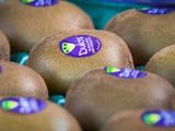 La marca italiana triplicó sus volúmenes y logró una fuerte aceptación en el competitivo segmento de frutas frescas.