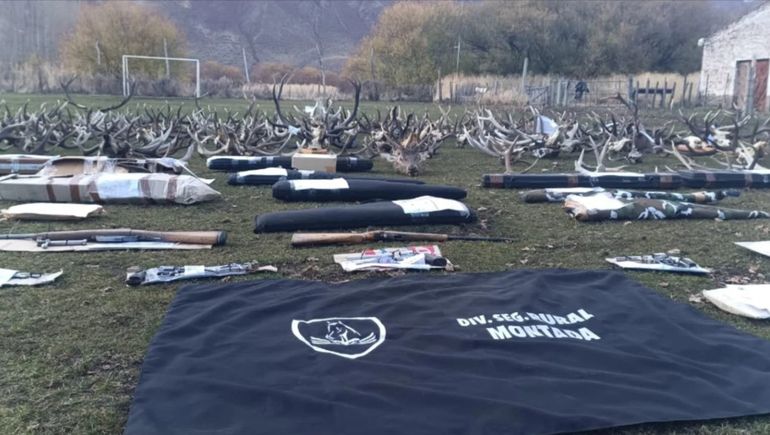 El operativo en Chubut se realizó luego de que en marzo advirtieron un importante incremento de la cantidad de cazadores que llegaban a El Maitén y se inició una investigación.  