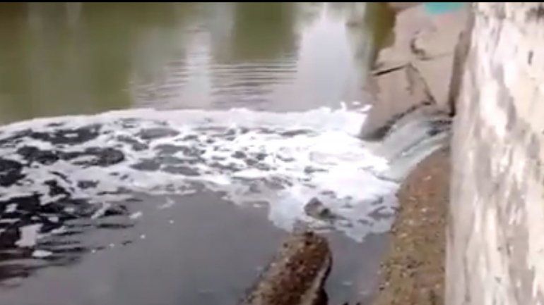 Captura de un video difundido en redes sociales.