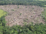 La desforestación en Colombia aumentó un 35% en 2024