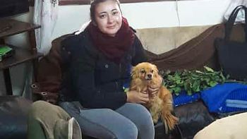 la increible historia de la perrita rionegrina que conmovio al pais la increible historia de la perrita rionegrina que conmovio al pais