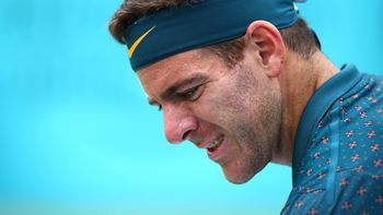 del potro emoción.jfif