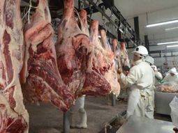 crisis en la industria carnica: otro frigorifico al borde de la quiebra crisis en la industria carnica: otro frigorifico al borde de la quiebra
