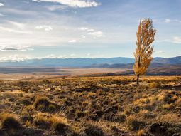 ley de tierras: las expectativas y dudas de inversores ley de tierras: las expectativas y dudas de inversores