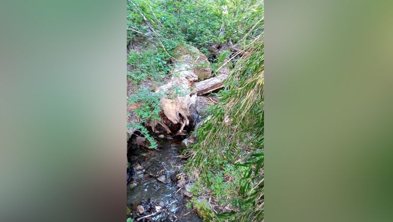 El joven alcanzó a mandar esta foto, donde permaneció durante la noche, y fue encontrado. El joven alcanzó a mandar esta foto, donde permaneció durante la noche, y fue encontrado.