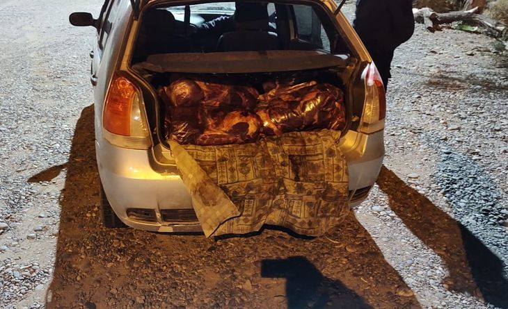 El auto detectado con carne bovina en Catriel. El auto detectado con carne bovina en Catriel.