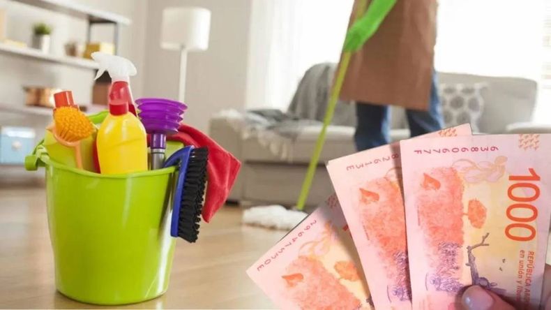 Sueldo empleada doméstica junio 2025: cuánto cobran por hora, actualmente