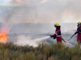 El incendio se reavivó este viernes por la mañana en Senillosa / Foto Gentileza