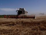 Ciencia y Agro