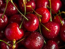 Chile no alcanzará las proyecciones iniciales y anticipa una temporada con menos fruta, mejores calibres y un impacto directo en la estrategia comercial. Chile no alcanzará las proyecciones iniciales y anticipa una temporada con menos fruta, mejores calibres y un impacto directo en la estrategia comercial.