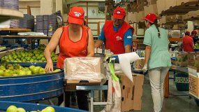 Suba del 102% para el gremio de la Fruta: mirá cuánto cobrará un embalador