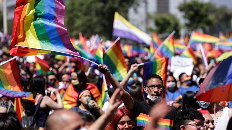 Movilización por la aprobación del matrimonio igualitario. 