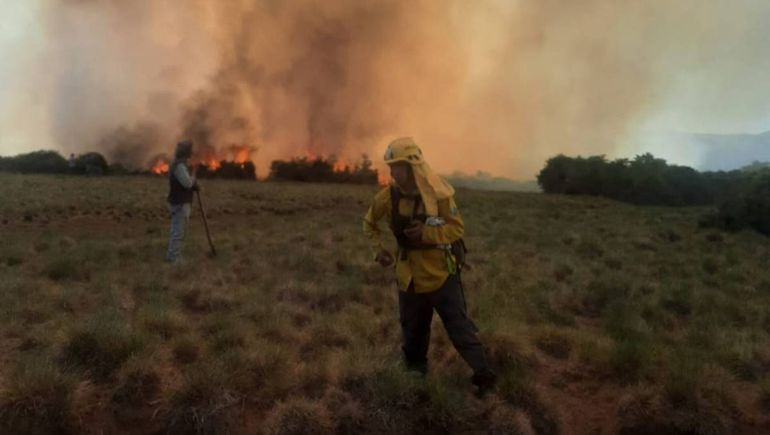 12 hectáreas quemadas: cómo sigue el incendio forestal en Ruca Choroy