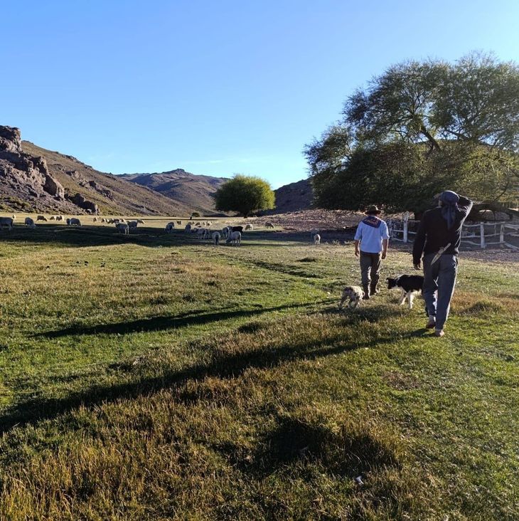 “Voy a una charla y al día siguiente trato de empezar a implementar lo que escuché”, cuenta. “Voy a una charla y al día siguiente trato de empezar a implementar lo que escuché”, cuenta. 