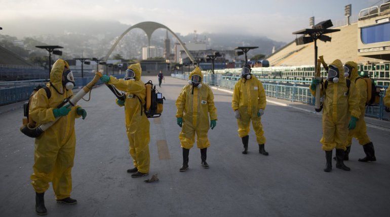 Zika: el mosquito bueno