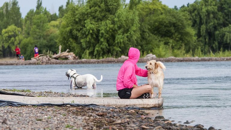 Buscan crear playas especiales para las mascotas en el río Limay / Foto Archivo