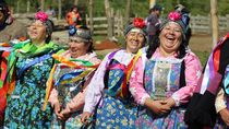 mujeres mapuches incorporan la perspectiva de genero a sus comunidades