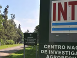 La decisión del INTA pone fin a más de 15 años de investigación aplicada y acompañamiento a la agricultura periurbana que abastece de alimentos frescos al Gran Buenos Aires.