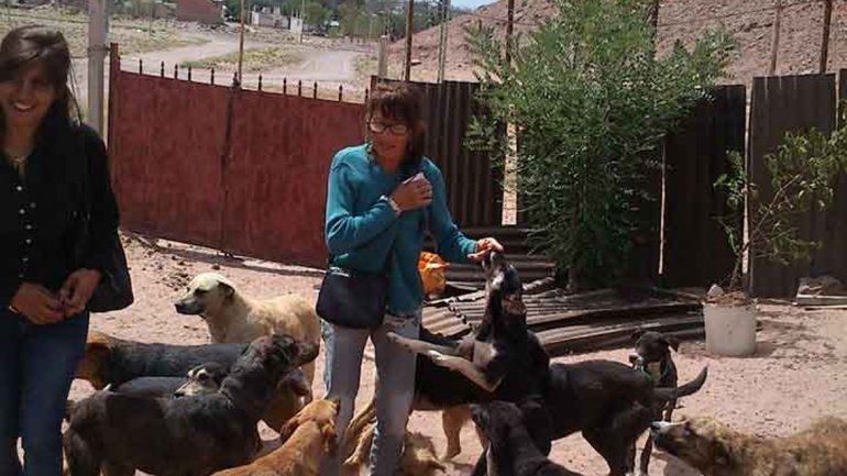 Las proteccionistas ayudan a Delia luego del incendio. Quieren que 16 perros puedan recuperarse de la tragedia.