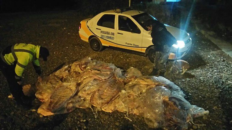 Decomisaron 75 costillares valuados en $250 mil