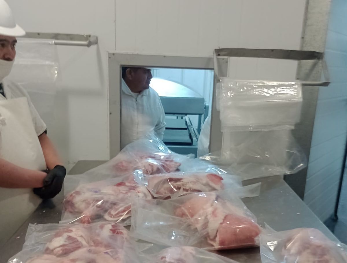 De la Patagonia a tu mesa: la carne ovina que busca llegar a supermercados