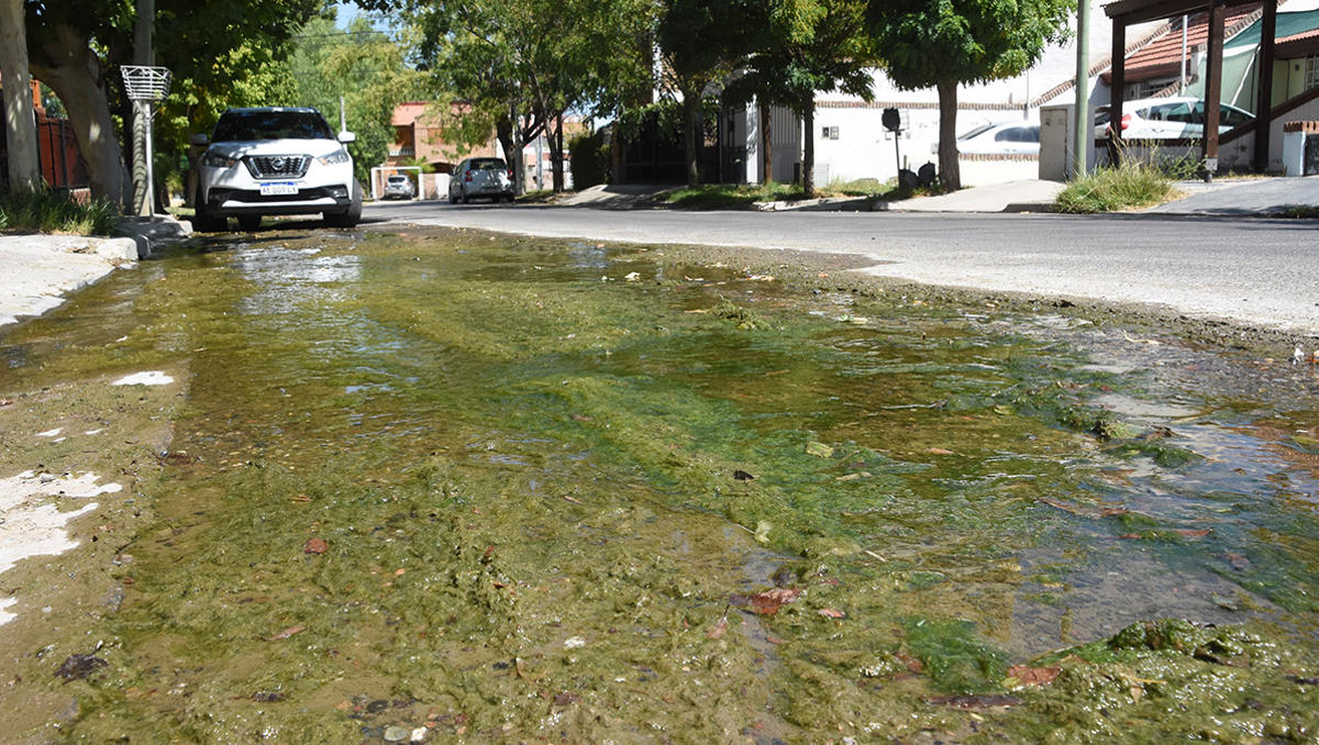 Santa Genoveva: una pérdida de agua que cumple un año y ya tiene algas