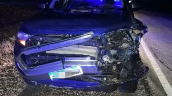 Atropelló un guanaco en la Ruta 3, en Santa Cruz. Atropelló un guanaco en la Ruta 3, en Santa Cruz.