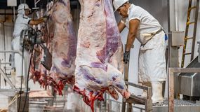 La carne argentina vuelve a tener pleno protagonismo en los mercados internacionales.