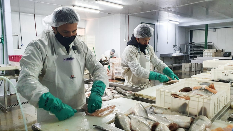 Se centralizarían en un mismo sitio los procedimientos aduaneros y la certificación final. | LM Neuquen Se centralizarían en un mismo sitio los procedimientos aduaneros y la certificación final.