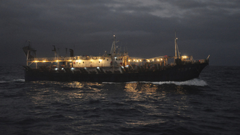 Buque jigger chino iluminado capturando calamar en alta mar durante la noche. | LM Neuquen Buque jigger chino iluminado capturando calamar en alta mar durante la noche.