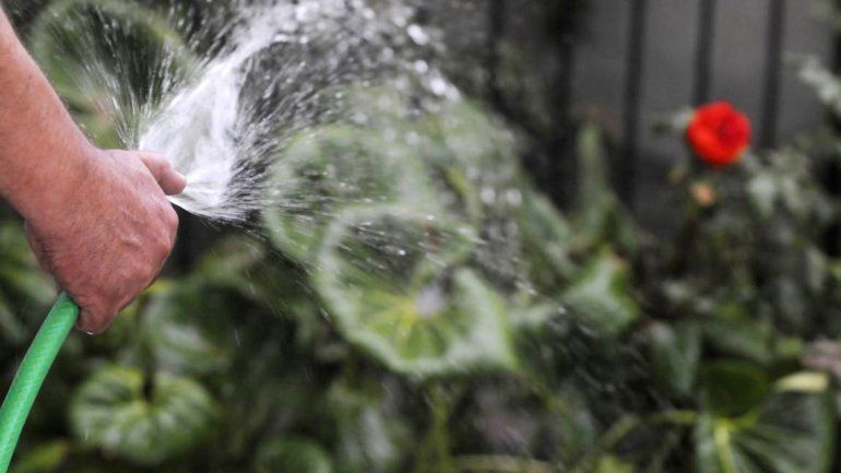 Gracias a varias campañas realizadas