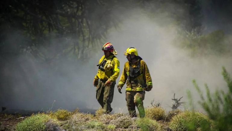 Brigadistas de distintas provincias llegaron a Neuquén para combatir el incendio en el Parque Nacional Lanín