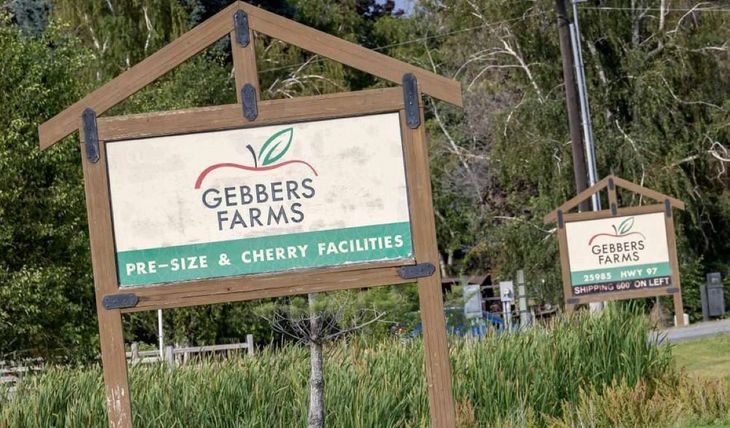 El caso de Brewster Heights expone la delicada situación económica que atraviesa la producción de manzanas, peras y cerezas en Washington, uno de los principales polos frutícolas de Estados Unidos. El caso de Brewster Heights expone la delicada situación económica que atraviesa la producción de manzanas, peras y cerezas en Washington, uno de los principales polos frutícolas de Estados Unidos.
