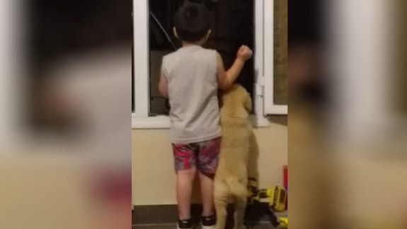 Giovanni busca a Toto
