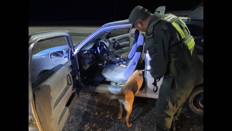 Tres detenidos en Neuquén por llevar cocaína en un paquete de galletitas