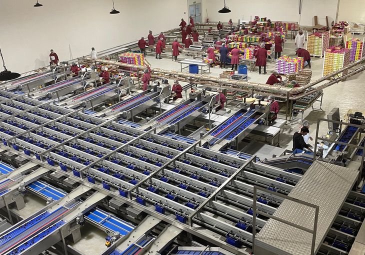 Costos en alza. Pese a los anuncios oficiales, los cambios estructurales para la economía todavía no llegan. 