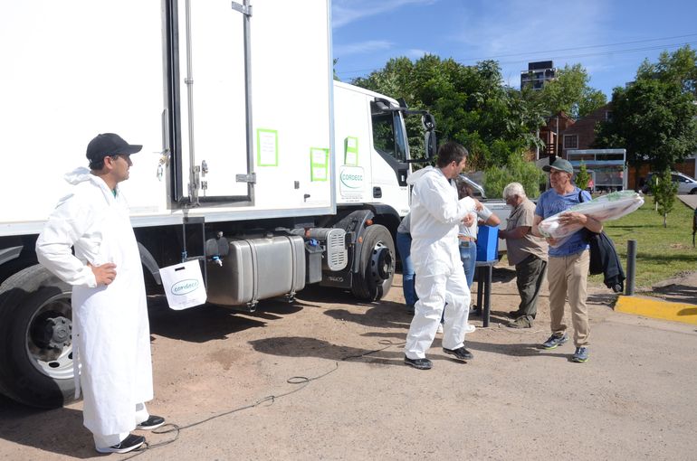 Vuelven a Neuquén capital los chivitos para Año Nuevo: ¿cuánto salen?