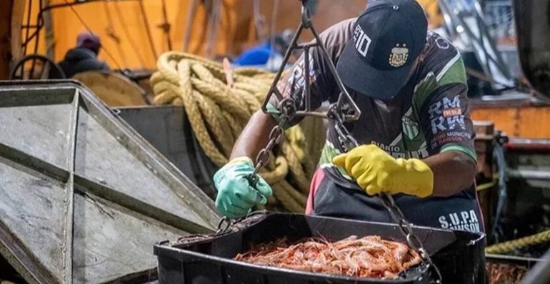 Chubut: Captura Salvaje, una docuserie de Nacho Viale sobre la pesca de langostino. Chubut: Captura Salvaje, una docuserie de Nacho Viale sobre la pesca de langostino.